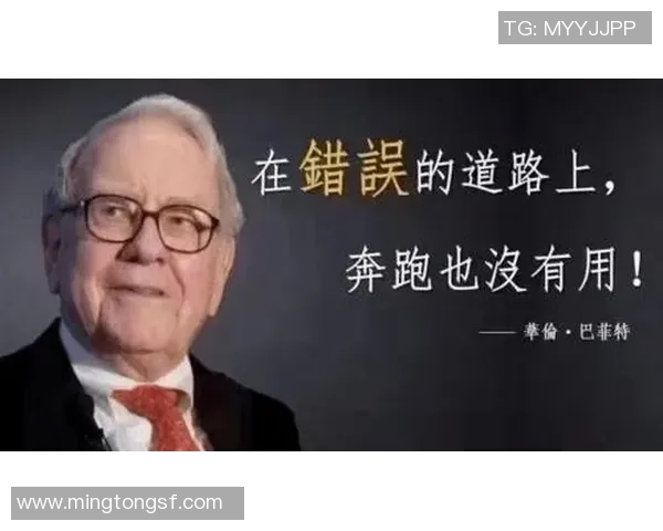 深圳足球队逆袭之路：从低谷到冠军赛的辉煌蜕变与奋斗历程